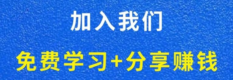 白菜价解锁20000+N个赚钱机会，加入轻创终点站会员，全站资源免费学习。-dustum 778